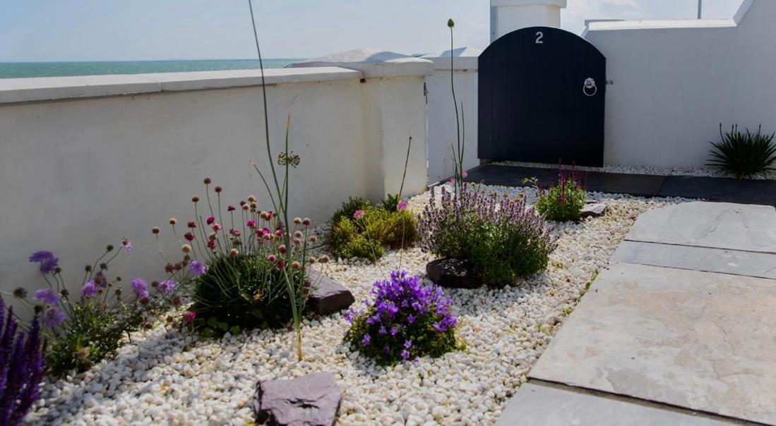 Beach View, 4 Bedroom House Opposite The Sea! Sleeps 10 Sandgate Exterior photo